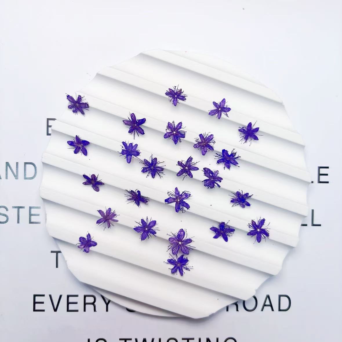 Purple small pressed flowers,12 PCS/Pack