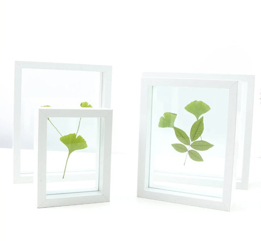 Herbarium Frame White Color