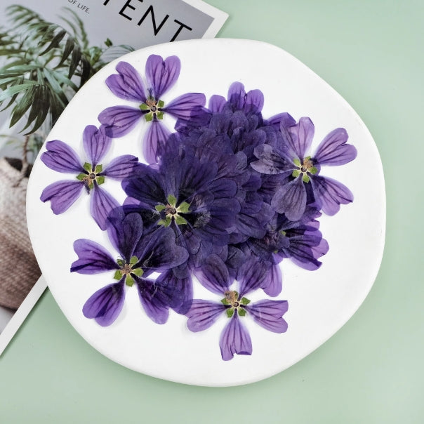 Purple Mallow Dried pressed flowers,6 PCS/Pack