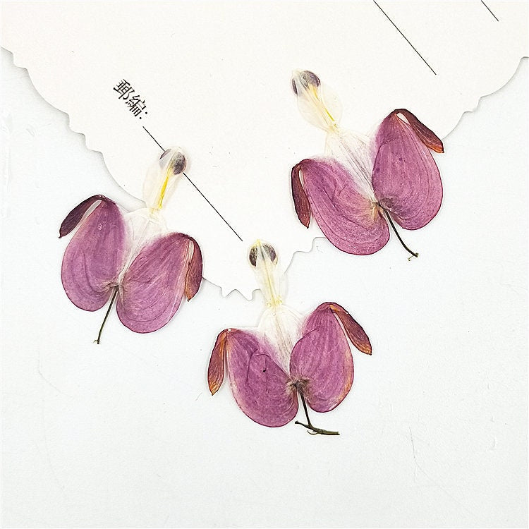 12 Purple Pressed Flowers, Real Dried Floral, Bulk Dry Petals