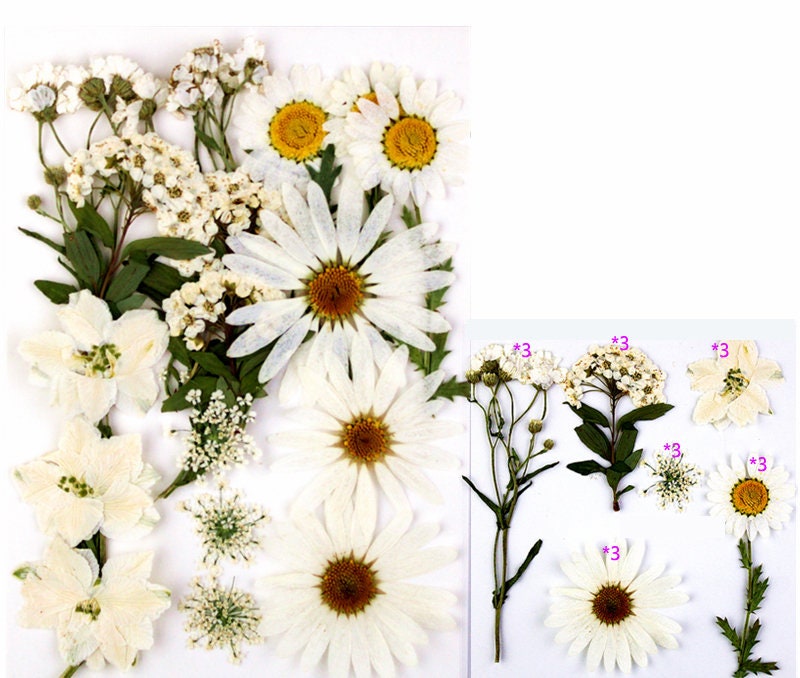 White Pressed Flowers (18 PCS): Dried Floral Resin Art Supplies