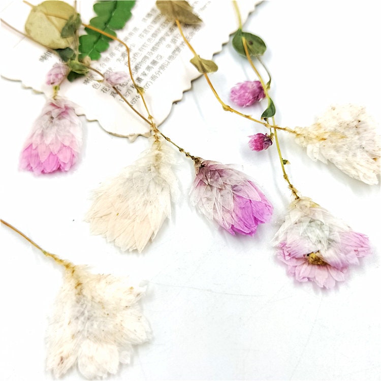 Pressed Flowers: Pink & White Dried Flower Stems (10 PCS)