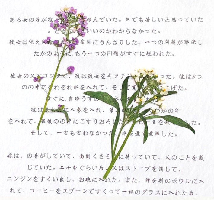 White Pressed Alyssum Flowers: Set of 12 Dried Flower Stems