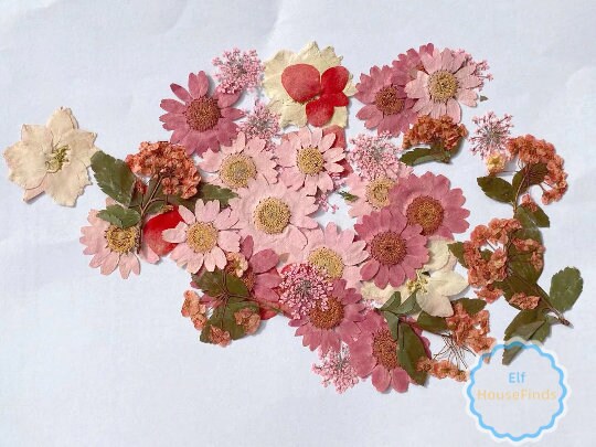 100 Pink Pressed Flowers: Mixed Dried Flowers for Crafts
