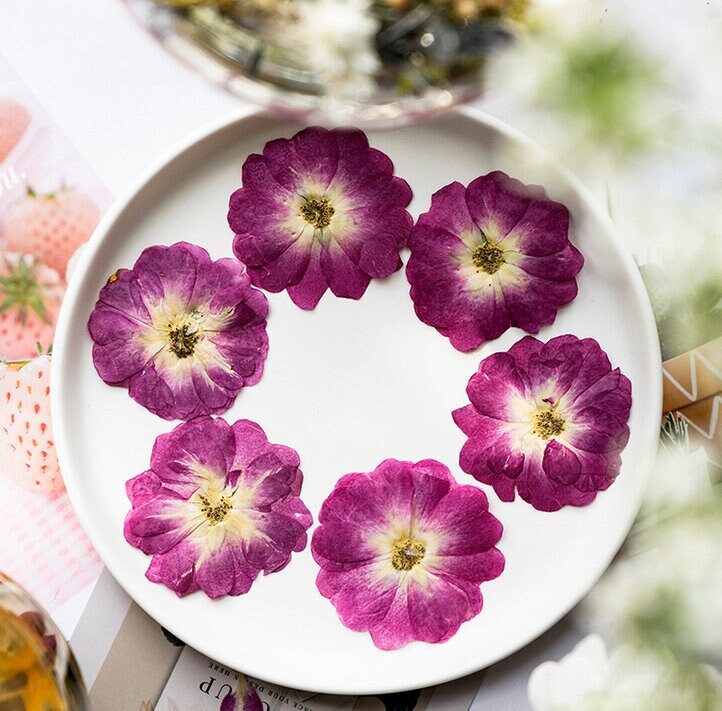 Pressed Purple Rose Flowers: Dried Floral Embellishments (8 PCS)