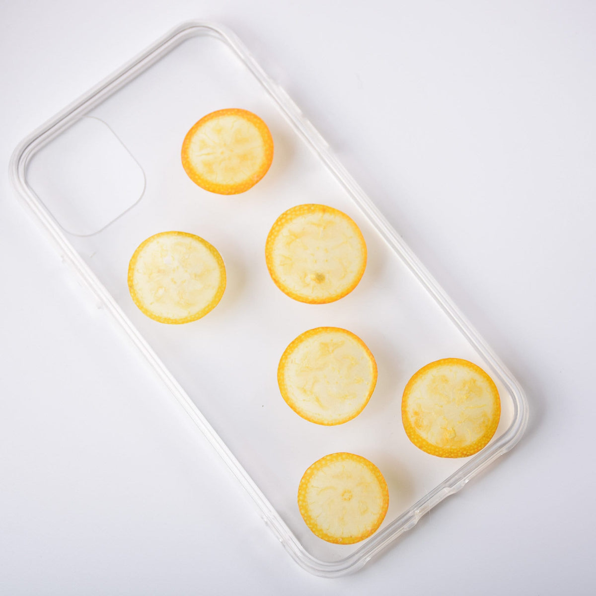 Pressed Kumquat Slices, Dried Fruit, Set of 4, Resin Crafts