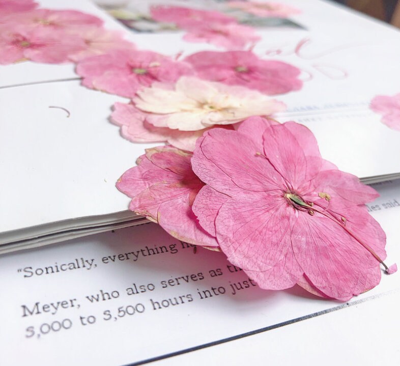 Cherry blossoms Dried Flowers (3-4cm) A Pack of 12 PCS ,Real Dried Flowers,Bulk pressed flower Floral,pink dry flowers,Dried Pressed flowers