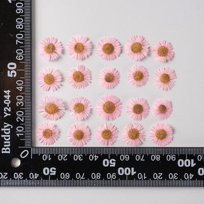 Pink Pressed Needle Chrysanthemum Flowers - 12 PCS for Resin Art dry flower,Pressed flowers
