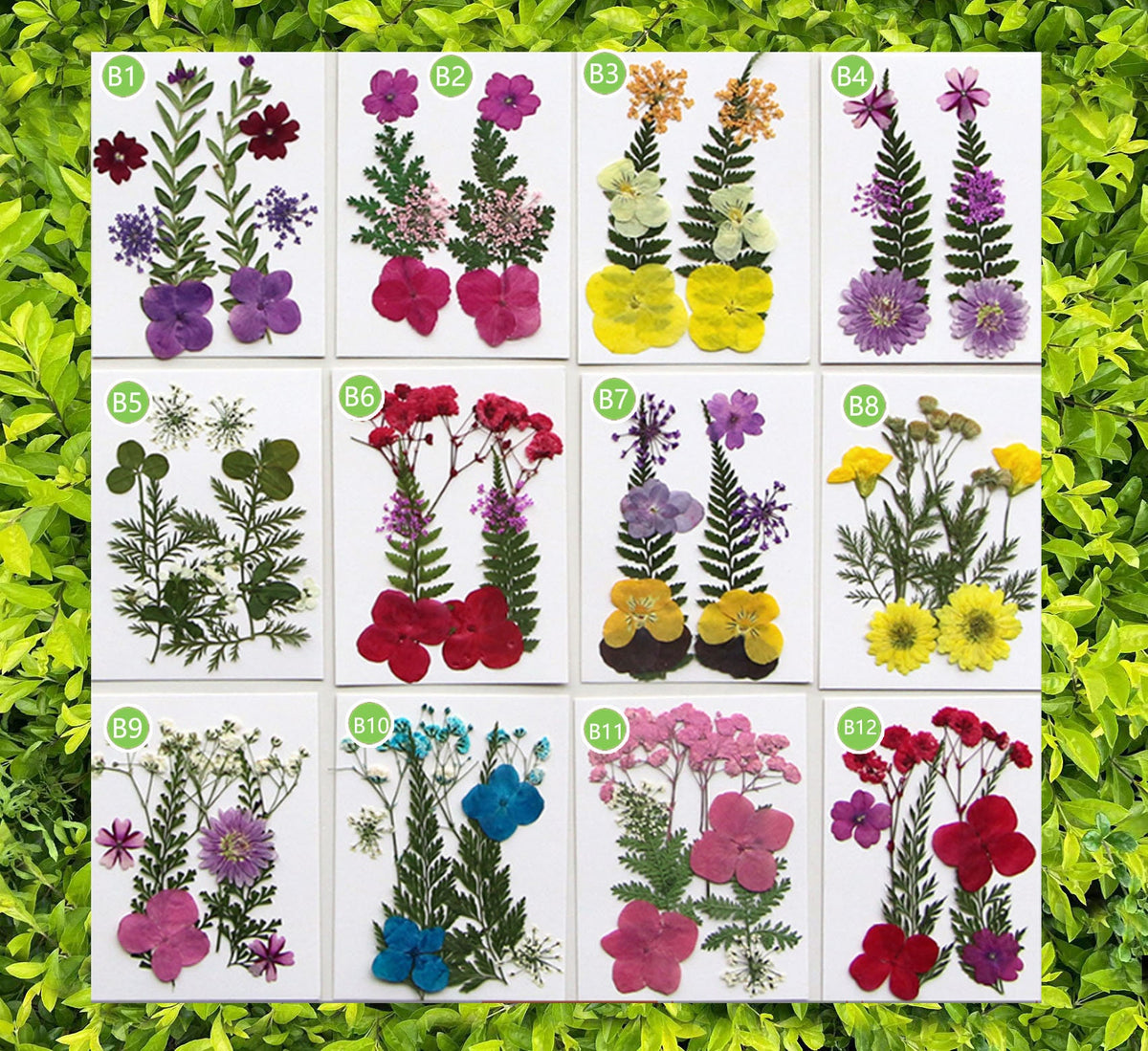 Mixed Dried Pressed Flowers: DIY Resin Jewelry & Crafts