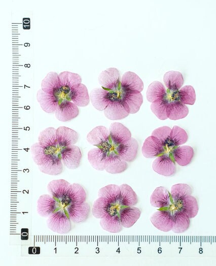 Pink Pressed Flowers, Invitation Embellishments, Resin Art Supplies (8 PCS)