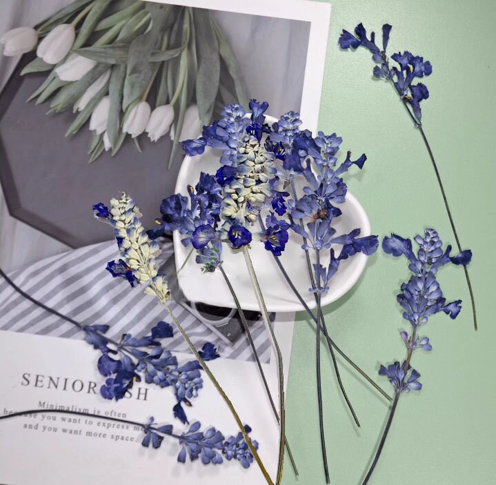 Dried Lavender Stems: Blue & White Wedding Flowers (Set of 6 PCS, 8-10cm