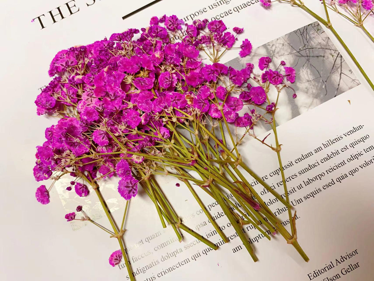 Deep Pink Pressed Baby's Breath Flowers: Wedding Invitation Decor (20 PCS, 6-8CM)