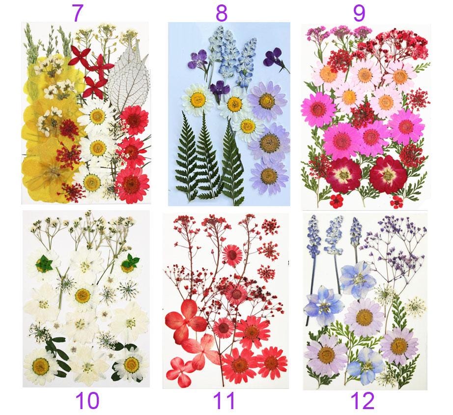Mixed Colors Pressed Flowers: Dried Flat Flowers for Resin Jewelry