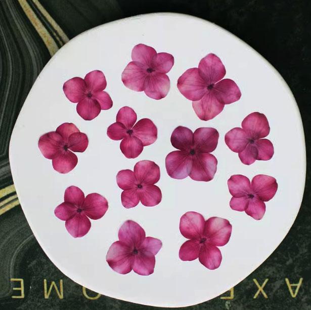 Pressed Flower,Hydrangea Pressed Flower,Set of 12PCS,Pressed dark rose red Dried Flower Real Pressed Flowers Preserved Flowers