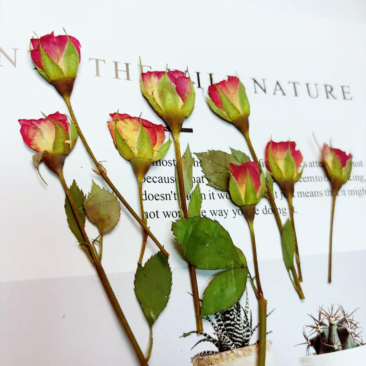 Red Rose Pressed Flowers: Natural Floral Stems, 6 PCS
