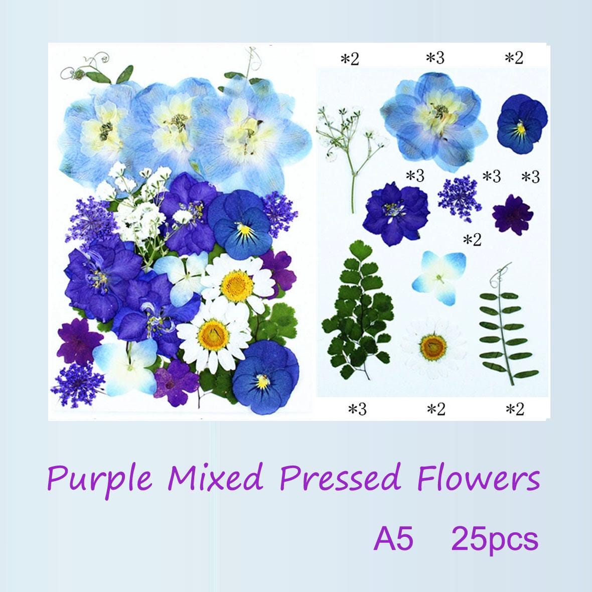 Purple Pressed Flowers: Mixed Dried Flowers for Crafts