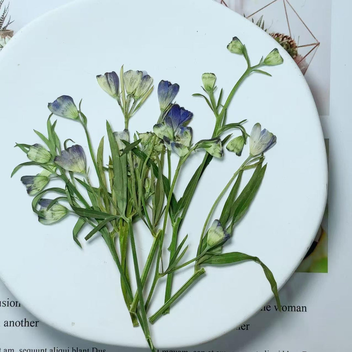 Resin dried flower,Pressed flowers,6 PCS/Pack Dried Pressed blue Flower,flower Stems Real Pressed Flowers,dried flower