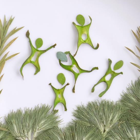 Pressed plant Leaf,Human shaped combination pattern Real Dried Leaves, Craft Supplies (6 PCS)