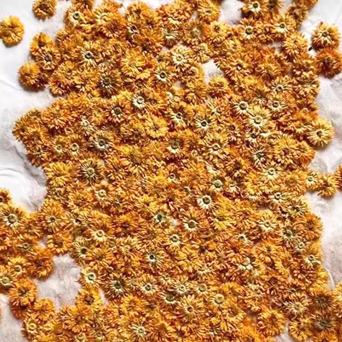 Small Chrysanthemum Pressed Flowers: nail flower Resin Crafts, Decoupage (10 PCS)