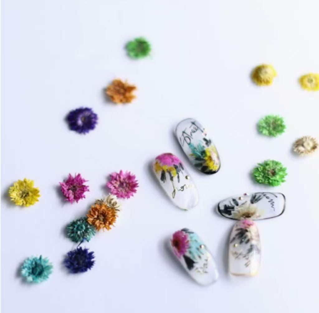 Pressed Flowers,10PCS/pack,green blue nail flower,dried flower,Small Chrysanthemum dried flower,blue dry flower for resin (About 1cm)