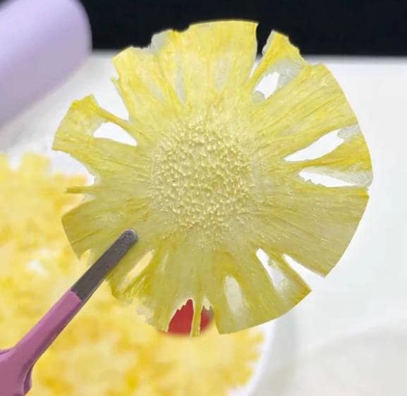 Pressed Pineapple, Dried Pineapple Fruit Set (2 PCS)resin Dried Pineapple Fruit