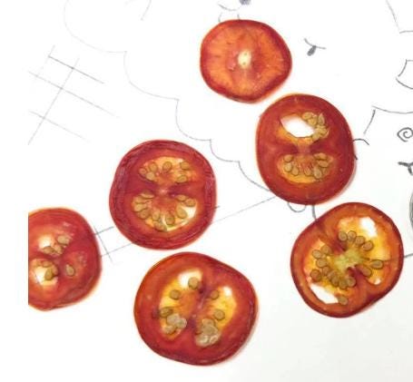 Pressed Dried Tomato Fruit, Dried Fruit Set (6 PCS)