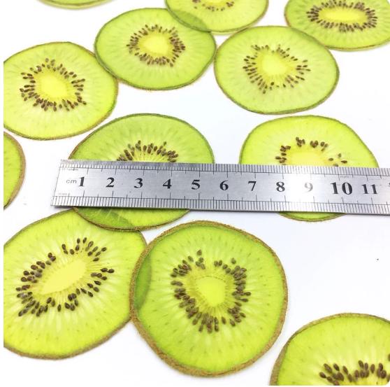 Pressed Fruits,Pressed Kiwi slice,Set of 2 PCS,dried Kiwi slice,dried Fruits