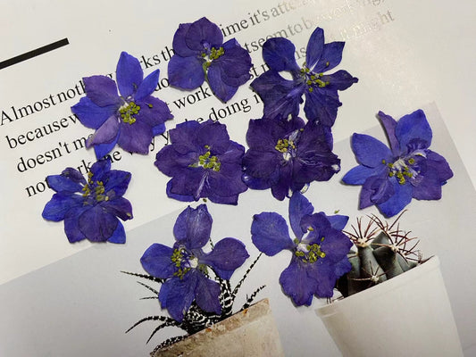 Purple Dried pressed flowers,12 PCS/Pack