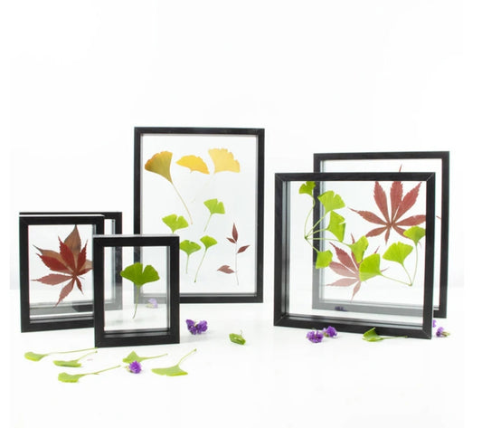 Herbarium Frame Black Color