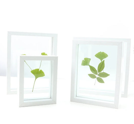 Herbarium Frame White Color