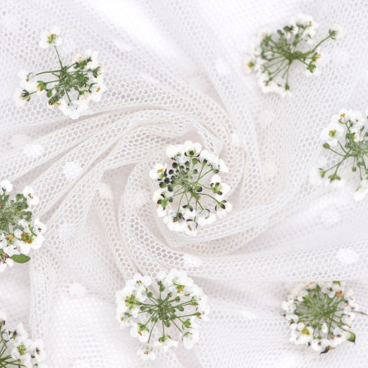 Pressed White sweet alyssum pressed flowers,12 PCS/Pack