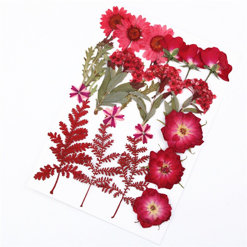 Red Pressed Flowers: Natural Dried Flower Set (16-18 PCS)
