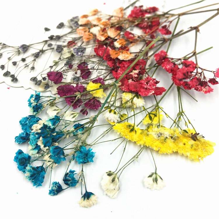 20 PCS Dried Baby's Breath Flowers: Wedding Invitation Embellishments