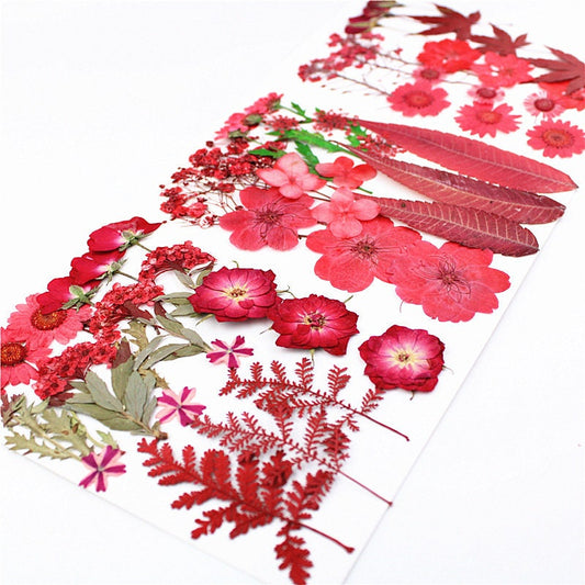 Red Pressed Flowers: Natural Dried Flower Set (16-18 PCS)