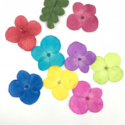 Pressed Hydrangea Flowers: Colorful Resin Art Supplies (12 PCS)