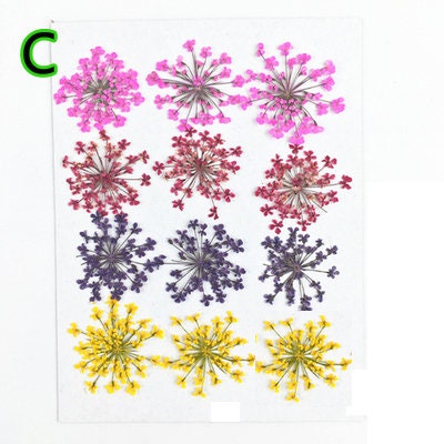 10 Pressed Lace Flowers, Colorful Flat Dried Flowers (1.5-2.5cm)