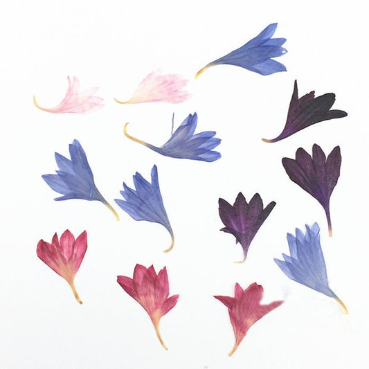 20 PCS Bulk Pressed Flowers: Real Dried Flowers for Resin Art