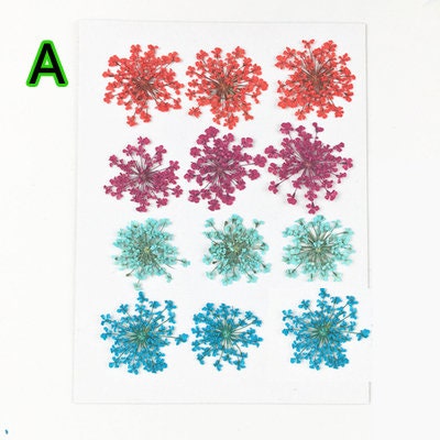 10 Pressed Lace Flowers, Colorful Flat Dried Flowers (1.5-2.5cm)