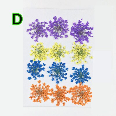 10 Pressed Lace Flowers, Colorful Flat Dried Flowers (1.5-2.5cm)