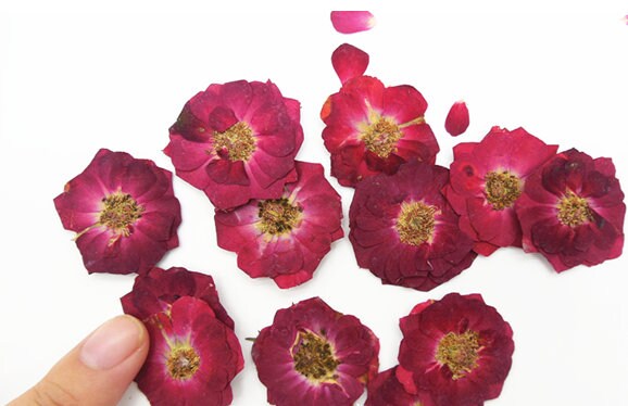 Red Rose Pressed Flowers - 10 PCS Dried Flowers for Crafts