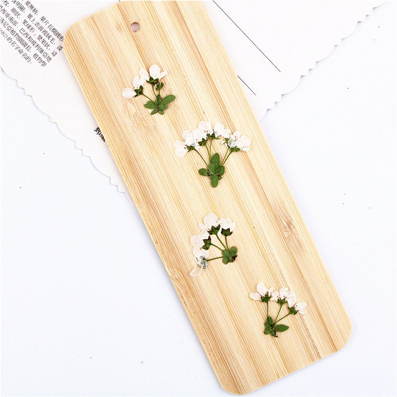 Pressed Snow Grass Flowers: Natural Dried Florals (12 PCS)