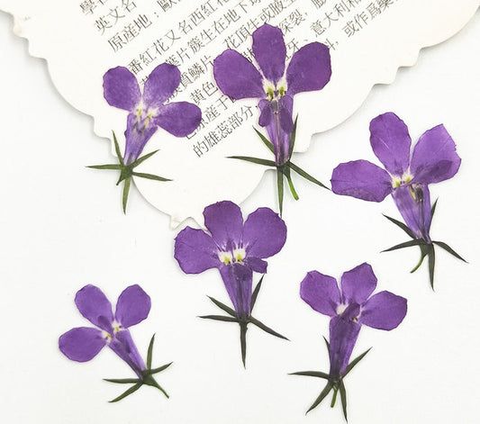 Blue Purple Pressed Flowers: Resin Art Embellishments (12 PCS)