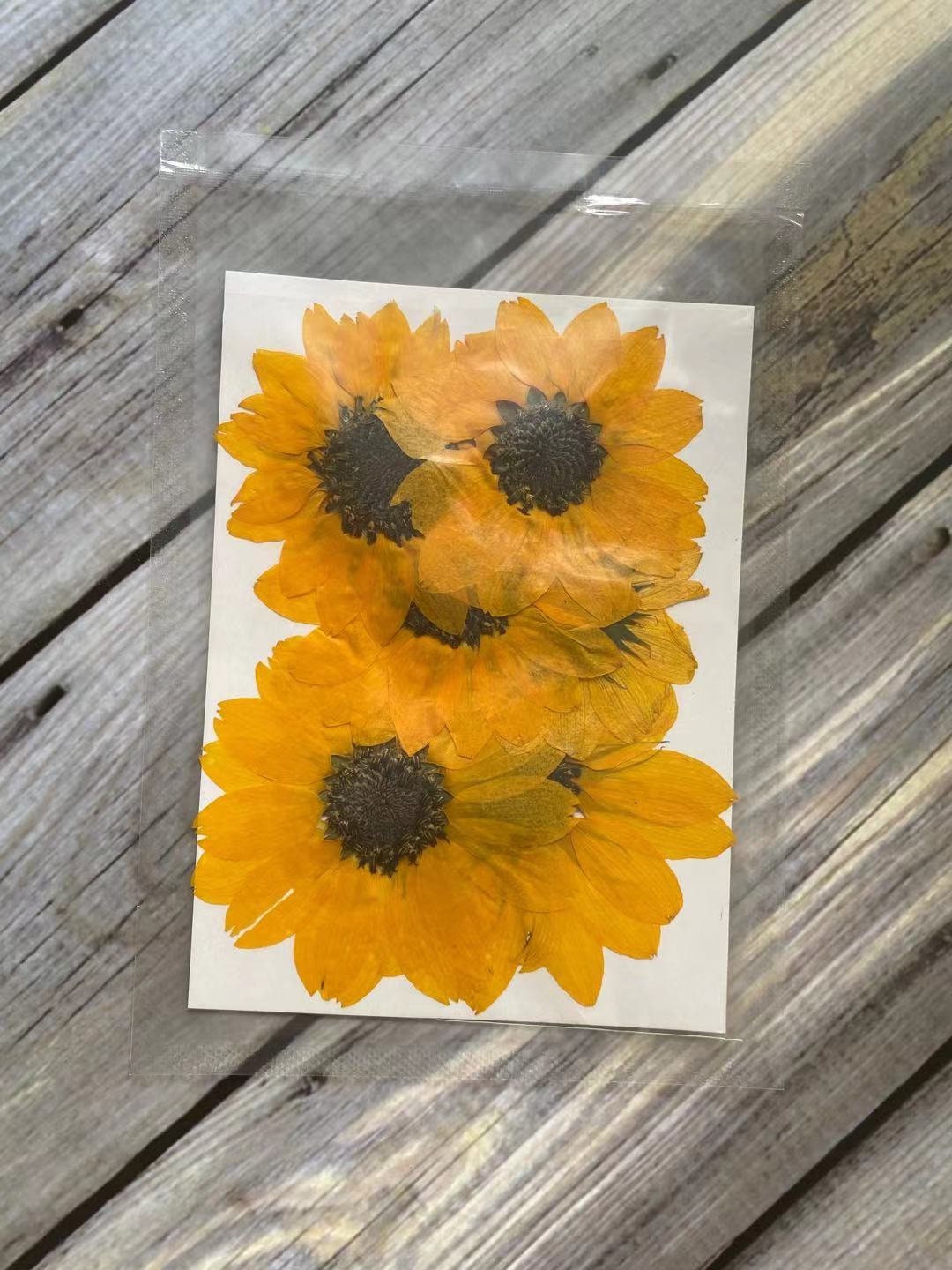 5 Orange Pressed Flowers, Natural Floral Embellishments (4-7cm)