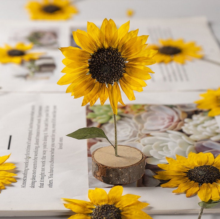 Pressed Flower,Sunflower Pressed Flower,Set of 2 PCS,Pressed Yellow Dried Flower Stem Real Pressed Flowers Dry Natural Preserved Flowers