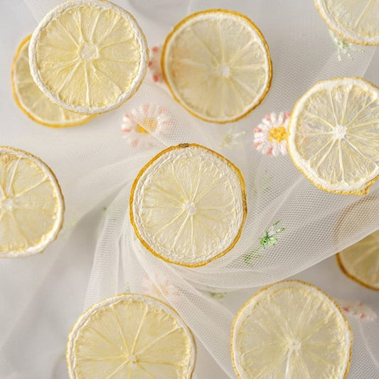 Pressed Yellow Lemon Slices, Dried Fruit Set (2 PCS)