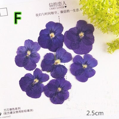12 PCS Pressed Flowers: Purple, White & Yellow Hydrangeas for Resin Crafts dry flower,Pressed flowers