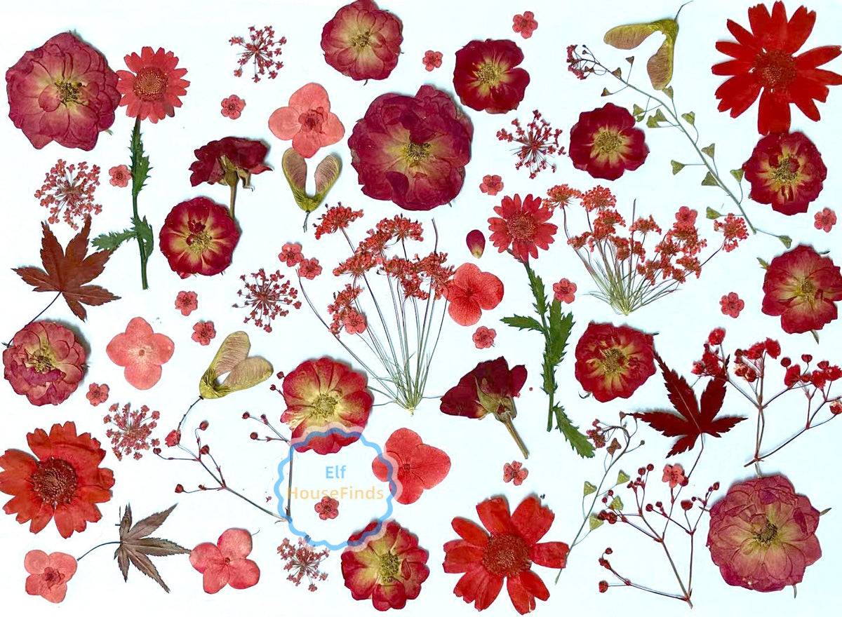 100 Red Pressed Flowers: Real Dried Flowers for Crafts
