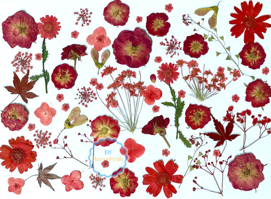 100 Red Pressed Flowers: Real Dried Flowers for Crafts