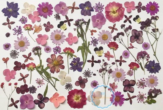 100 PCS Pressed Flowers: Mixed Red, Orange, Yellow, Purple Dried Flowers