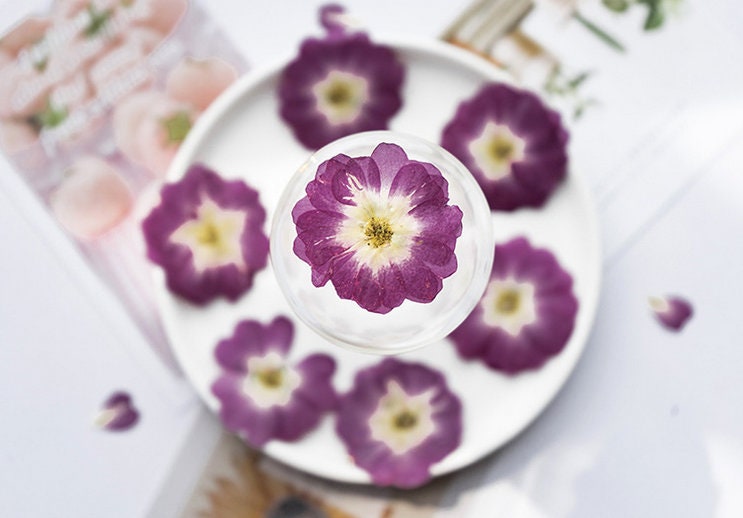 Pressed Purple Rose Flowers: Dried Floral Embellishments (8 PCS)